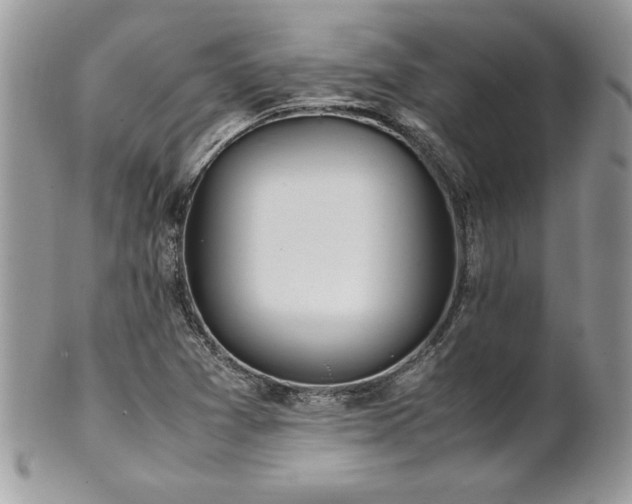 X0000102251361200807251312