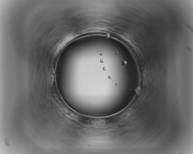 X0000102251363200807251312