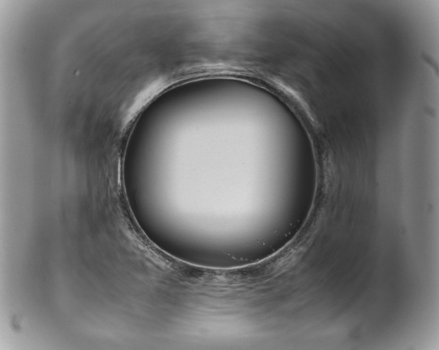 X0000102251365200807251312