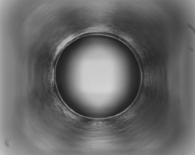 X0000102251366200807251312