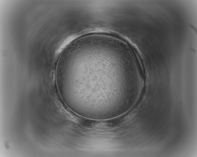 X0000102251367200807251312