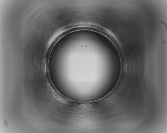 X0000102251368200807251312