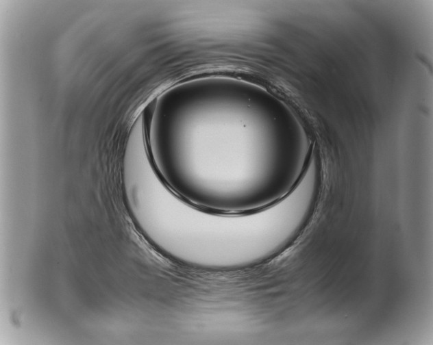 X0000102251369200807251312