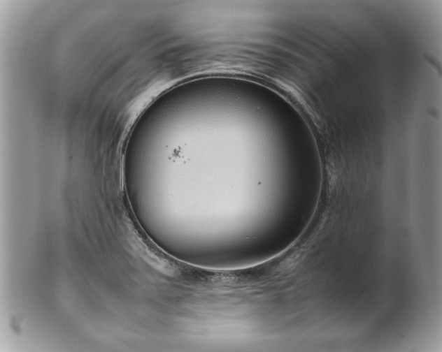 X0000102251371200807251312
