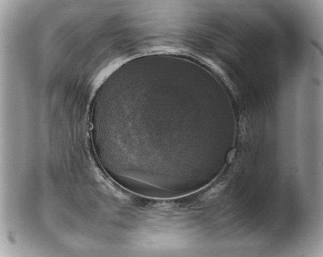 X0000102251373200807251312