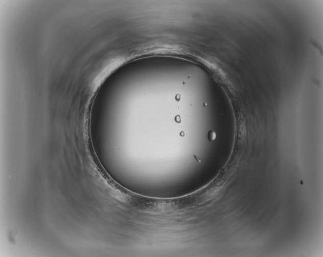 X0000102251375200807251312