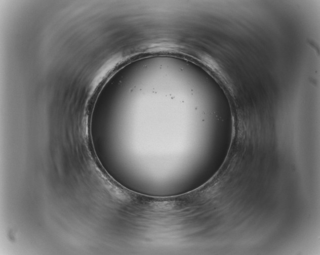 X0000102251376200807251312
