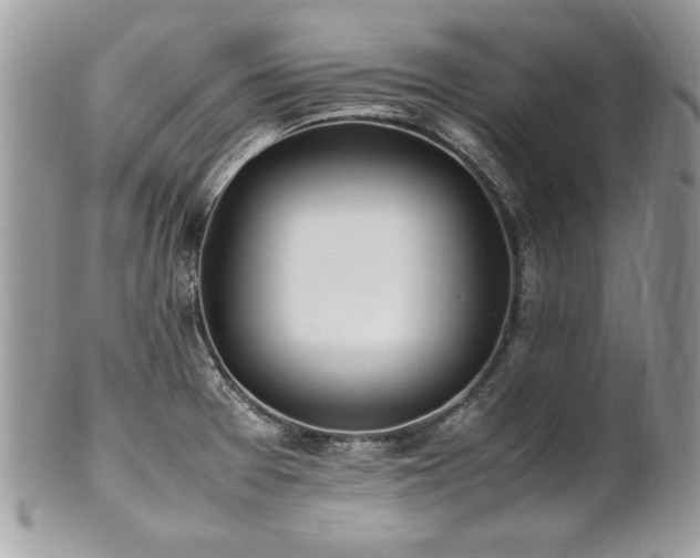 X0000102251377200807251312