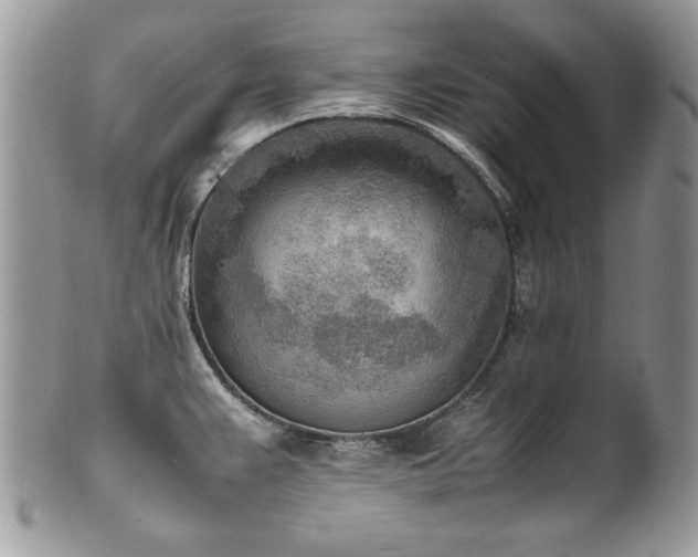 X0000102251383200807251312