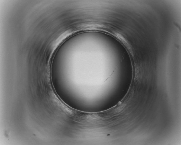 X0000102251384200807251312