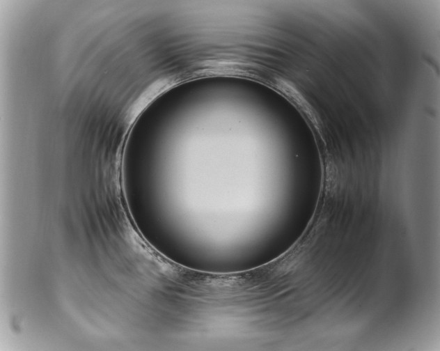 X0000102251386200807251312