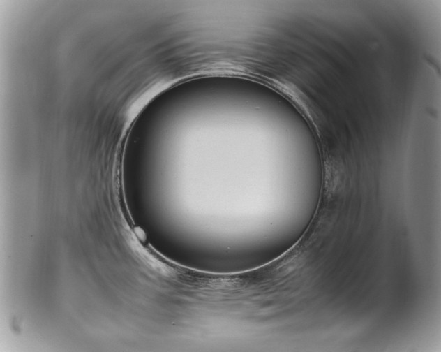 X0000102251387200807251312