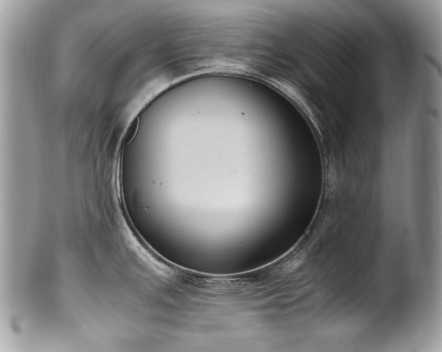 X0000102251391200807251312