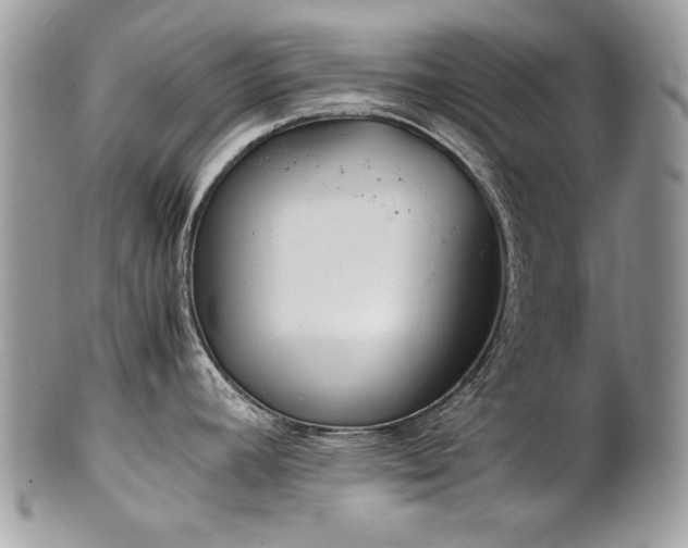 X0000102251392200807251312