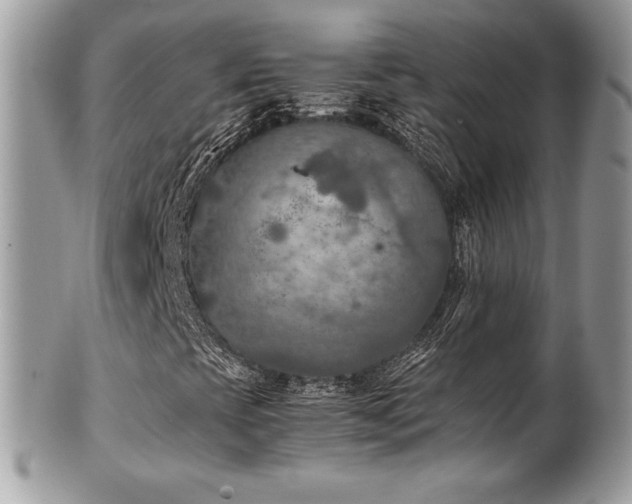 X0000102251393200807251311