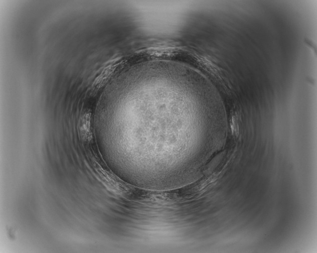 X0000102251396200807251311