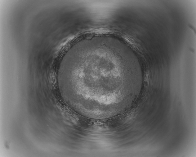 X0000102251398200807251311