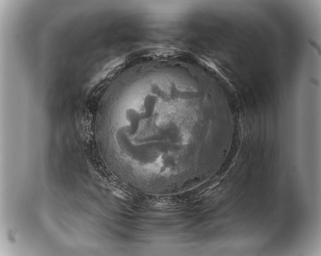 X0000102251399200807251311