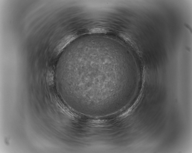 X0000102251401200807251311
