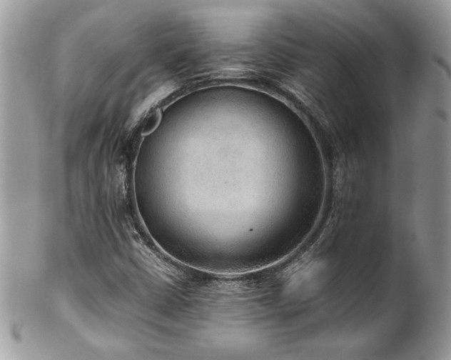X0000102251402200807251311
