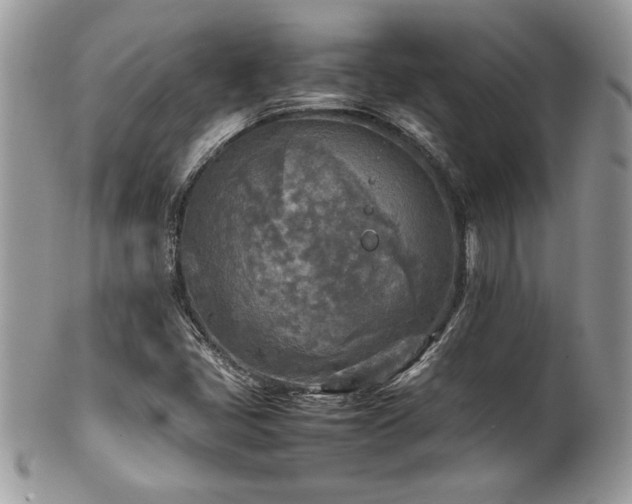 X0000102251405200807251311