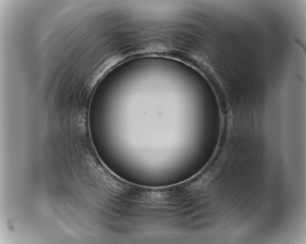 X0000102251409200807251311
