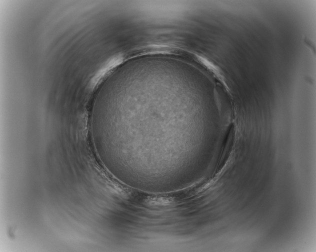 X0000102251411200807251311