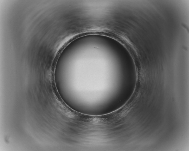 X0000102251412200807251311
