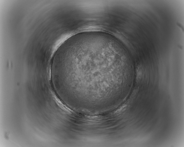 X0000102251413200807251311