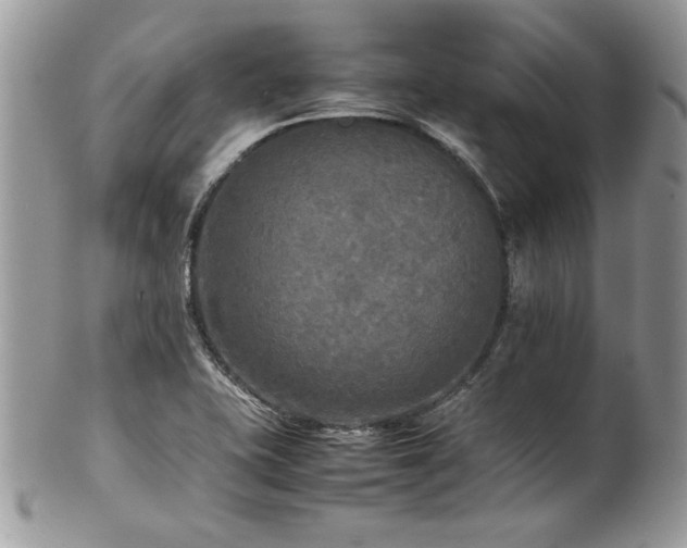 X0000102251415200807251311