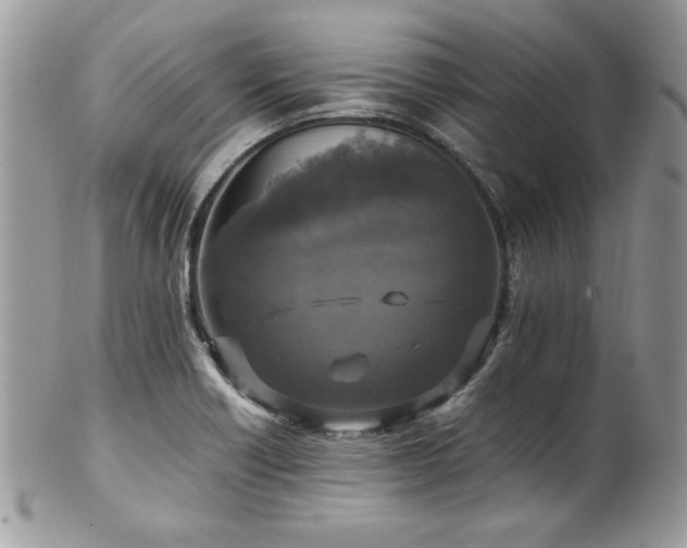 X0000102251418200807251311