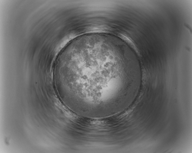 X0000102251419200807251311