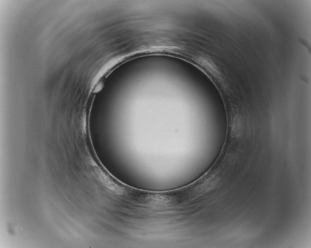 X0000102251420200807251311
