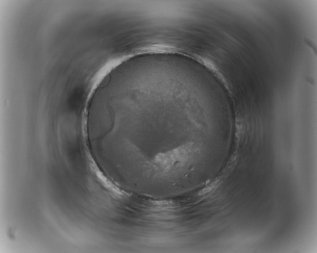 X0000102251421200807251311
