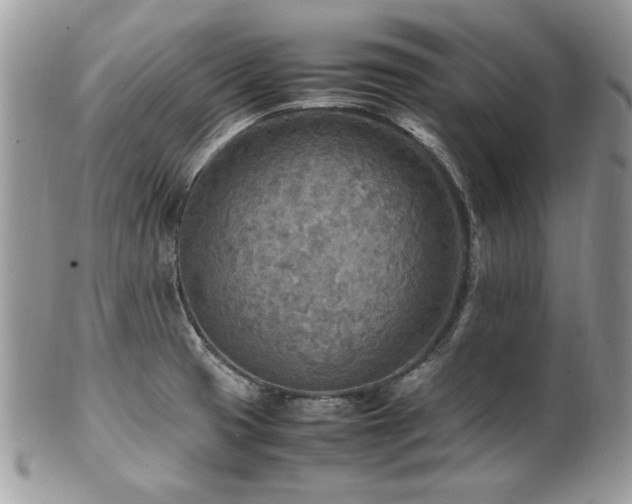 X0000102251425200807251312