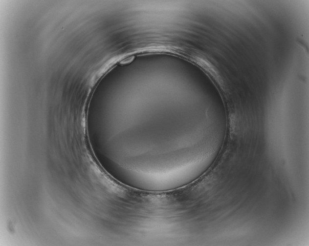 X0000102251428200807251312