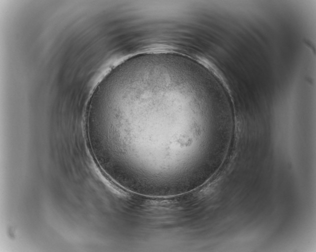 X0000102251429200807251312