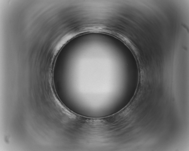 X0000102251432200807251312