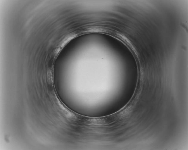 X0000102251433200807251312