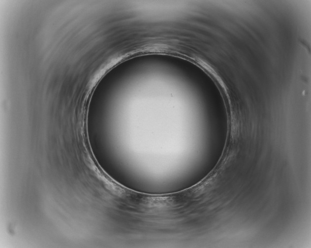 X0000102251437200807251312