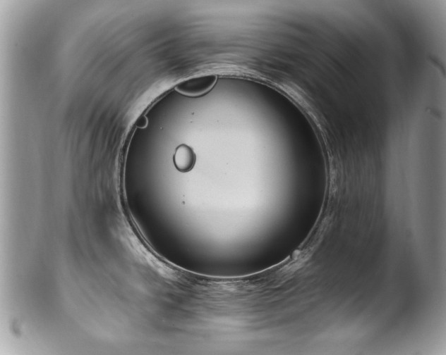 X0000102251438200807251312