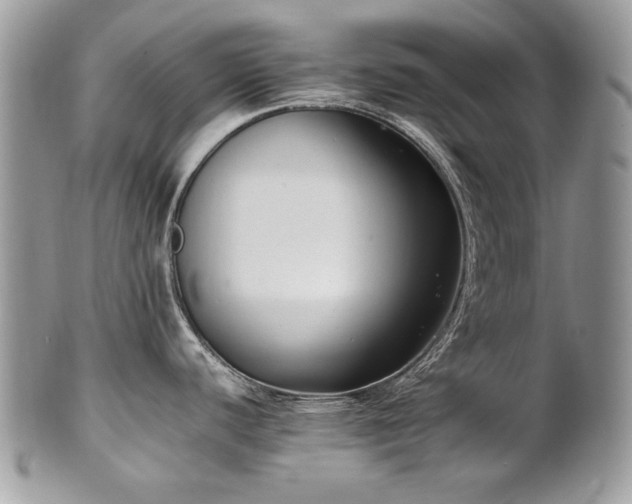 X0000102251440200807251312