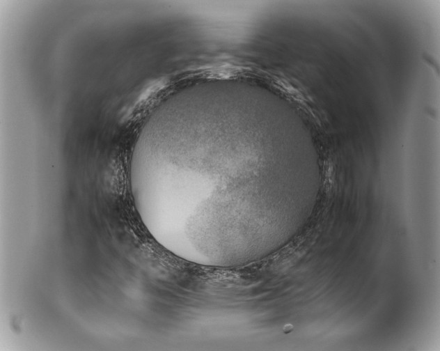 X0000102251446200807251311