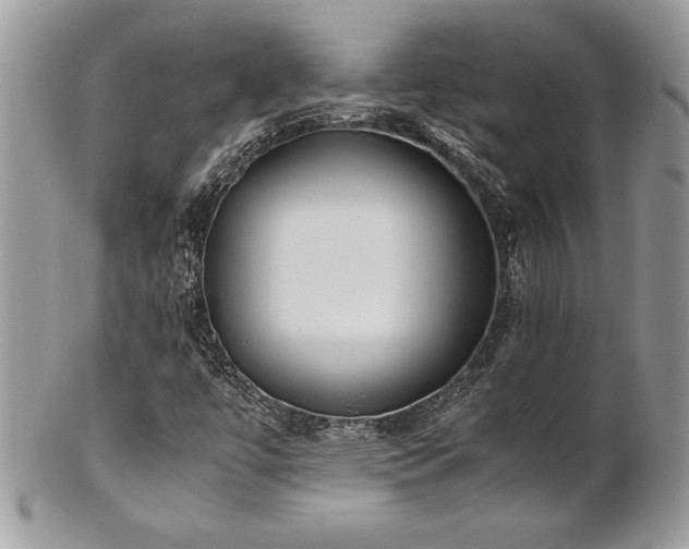 X0000102251447200807251311