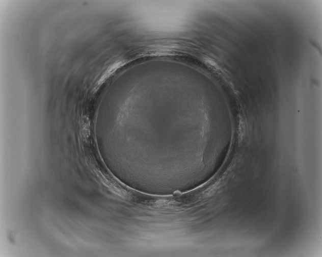 X0000102251449200807251311