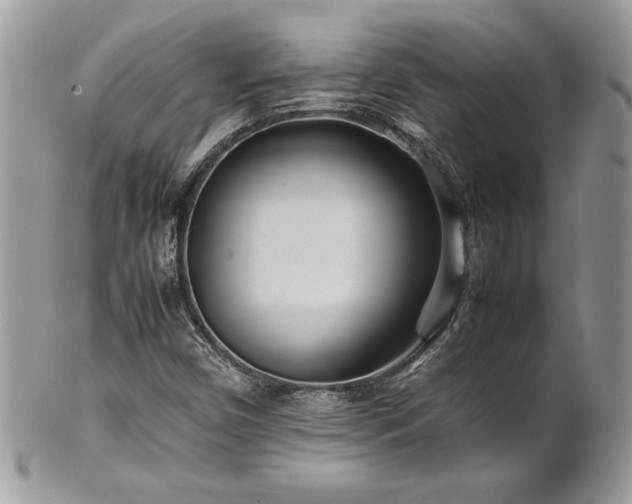 X0000102251450200807251311