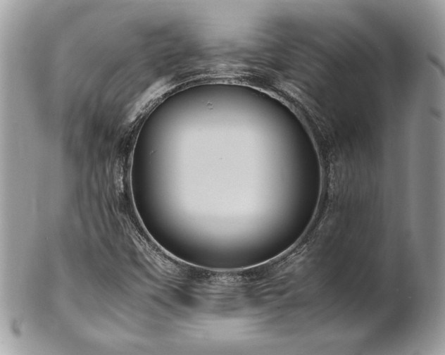 X0000102251451200807251311