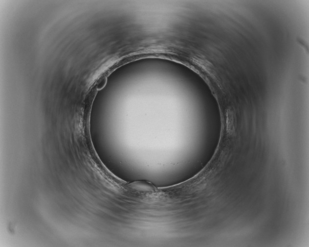 X0000102251452200807251311