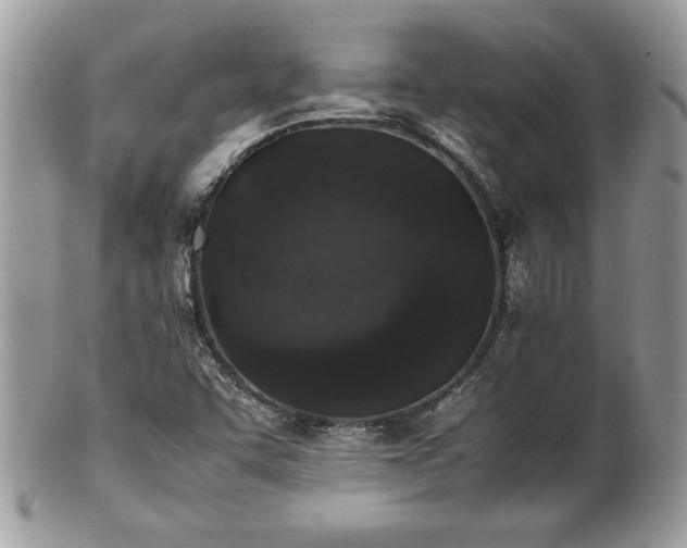X0000102251455200807251311