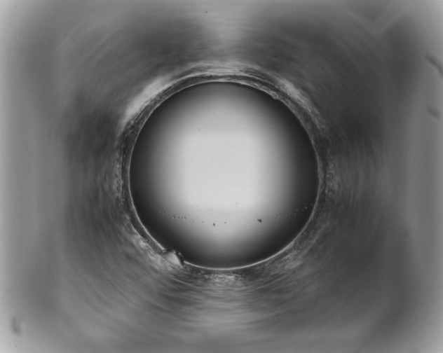 X0000102251456200807251311